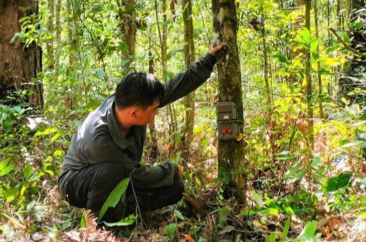 Nơi 'hội tụ' nhiều loài động vật quý hiếm có gì đặc biệt? - Ảnh 7.