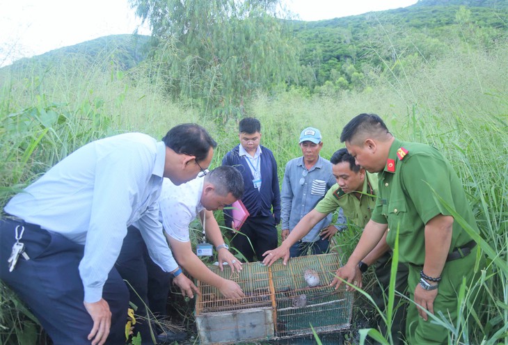 Bị phạt 3 triệu đồng vì buôn bán trái phép 35 cá thể chim hoang dã- Ảnh 2.