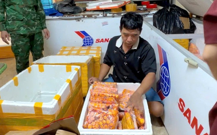 Nguyễn Văn Lực rủ trẻ 10 và 12 tuổi đi trộm lợn đất rồi cho 30.000 đồng- Ảnh 2.