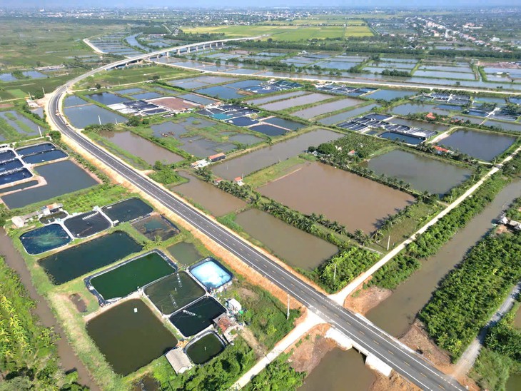 Ngắm tuyến đường ven biển gần 2.000 tỷ đồng chuẩn bị đưa vào khai thác- Ảnh 7.