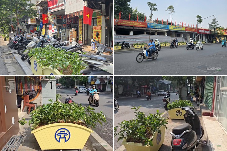 Hàng loạt bồn cây lớn 'án ngữ' vỉa hè phố Lê Duẩn- Ảnh 1.