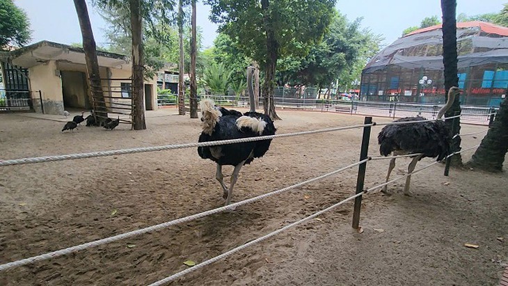 Đề xuất 'vừa mở, vừa đóng' Công viên Thủ Lệ: Lãnh đạo Vườn thú nói gì?- Ảnh 4.