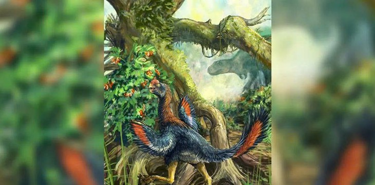Phát hiện hóa thạch 'Gà địa ngục' ăn trái cây đầu tiên- Ảnh 1.