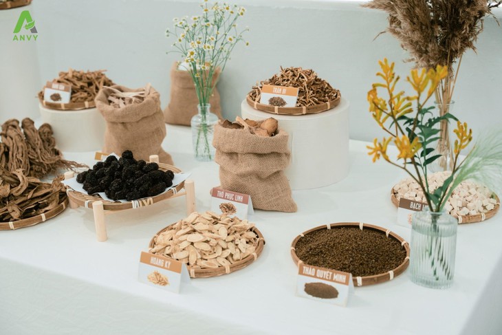 Anvitra - Bộ đôi hỗn dịch thảo dược Việt- Ảnh 1.