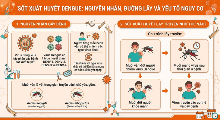 Sốt xuất huyết: Nhận biết dấu hiệu cảnh báo, phòng ngừa biến chứng nguy hiểm - Ảnh 1.