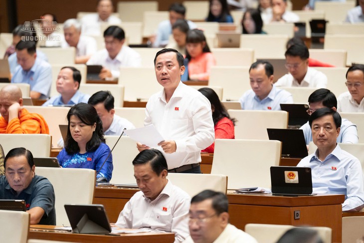 ĐBQH ủng hộ ngưỡng doanh thu 10 tỷ đồng/năm áp dụng tính thuế đơn giản - Ảnh 5.