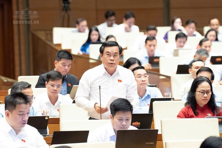 ĐBQH ủng hộ ngưỡng doanh thu 10 tỷ đồng/năm áp dụng tính thuế đơn giản - Ảnh 2.