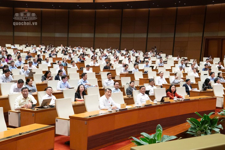 ĐBQH: Chính sách đất đai sát thực tiễn, bảo đảm quyền lợi người dân - Ảnh 1.