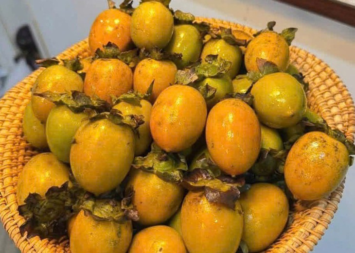 Nên ăn hồng ngâm vào thời điểm nào để tránh tác dụng phụ? - Ảnh 1.