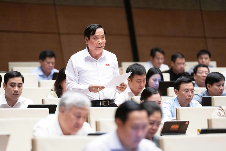 ĐBQH đề xuất tận dụng trụ sở dôi dư làm nơi chăm sóc người cao tuổi- Ảnh 1.
