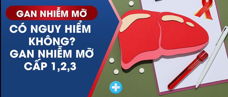 Gan nhiễm mỡ khi nào phải dùng thuốc kết hợp với ăn kiêng? - Ảnh 1.