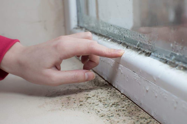 Nấm mốc trong nhà liên quan thế nào đến các triệu chứng hô hấp, dị ứng? - Ảnh 1.
