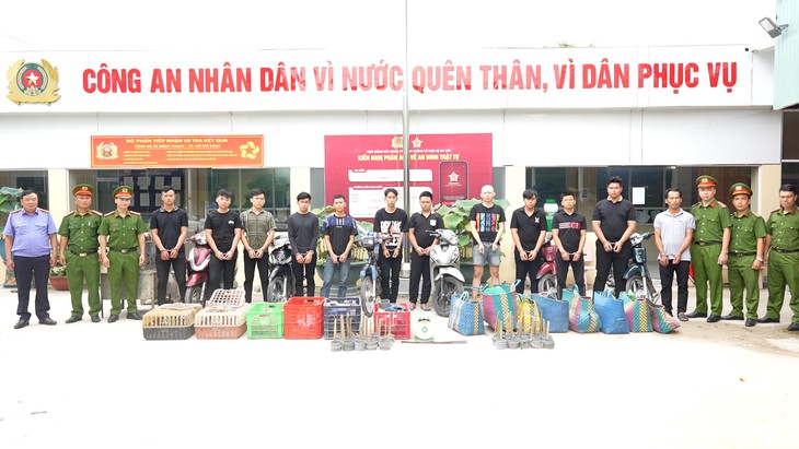 Trộm 2.700 con mèo ở TPHCM, nhóm đối tượng bị bắt, khởi tố- Ảnh 1.