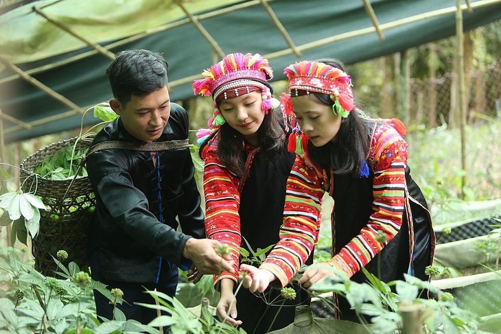 Giữ gìn nguồn tài nguyên quý cho tương lai dược liệu Việt- Ảnh 1.