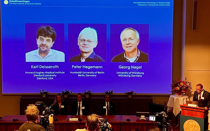 Quy trình phía sau những cái tên đoạt giải Nobel- Ảnh 2.