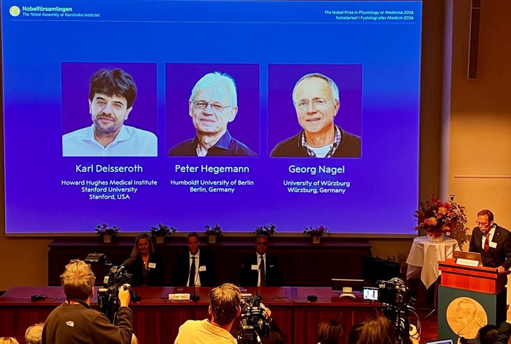 Nobel Y sinh 2026 vinh danh công nghệ dùng ánh sáng giải mã bí ẩn não bộ- Ảnh 1.