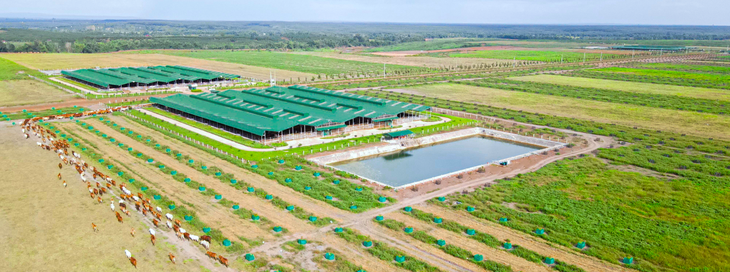 Thaco Agri bị xử lý vi phạm chứng khoán- Ảnh 1.
