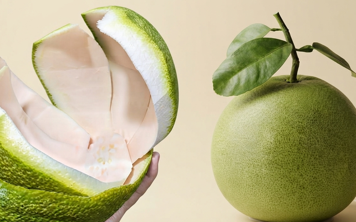 Hạt bưởi có tác dụng gì và có ăn được không? - Ảnh 3.