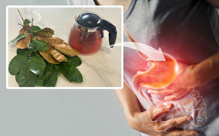 Nước lá ngải cứu có tác dụng gì? - Ảnh 3.