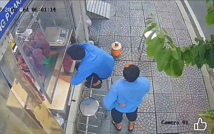 Hà Nội chăm sóc gần 70.000 cây xanh thế nào để đẹp phố, an toàn mùa bão?- Ảnh 7.