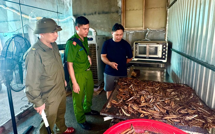 Quảng Ninh: Phát hiện hơn 6 tấn thực phẩm đông lạnh không rõ nguồn gốc- Ảnh 2.