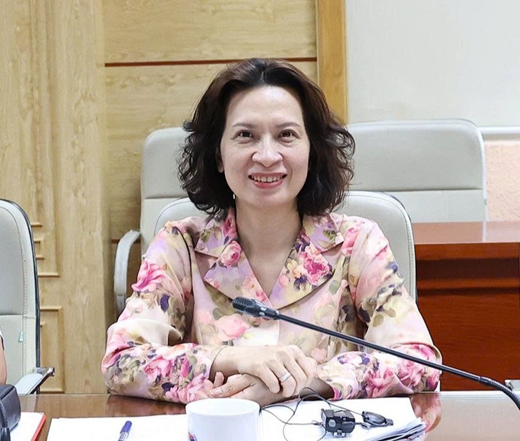 Bộ Y tế thúc đẩy hợp tác cùng Quỹ toàn cầu và UNDP tại Việt Nam- Ảnh 1.