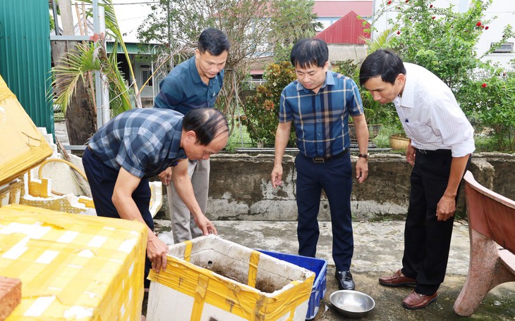 Gia tăng ổ dịch sốt xuất huyết, Hà Tĩnh tăng cường kiểm soát- Ảnh 5.