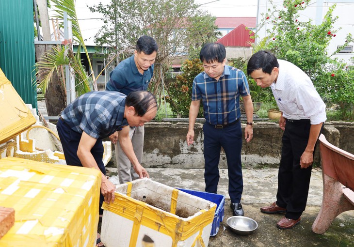 Hà Tĩnh ghi nhận ổ dịch sốt xuất huyết với 9 ca mắc- Ảnh 2.