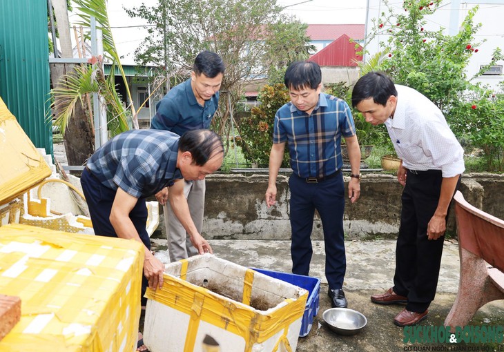 Gia tăng ổ dịch sốt xuất huyết, Hà Tĩnh tăng cường kiểm soát- Ảnh 1.