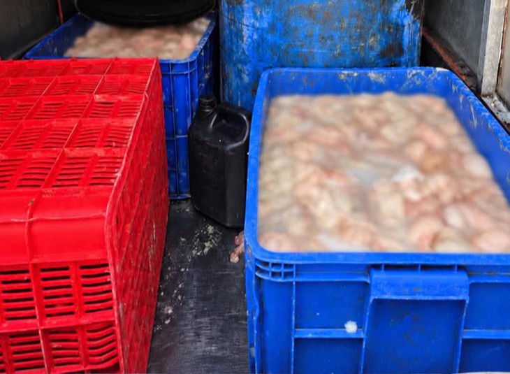 Ô tô chở 820kg lòng lợn bốc mùi hôi thối ở Phú Thọ- Ảnh 1.