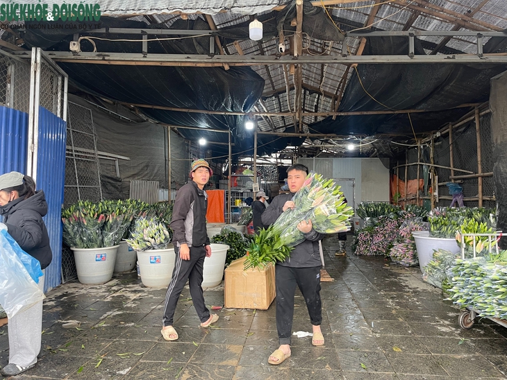 Cận Tết ở làng hoa Tây Tựu: Đơn hàng gấp 3-4 lần, người làm không kịp nghỉ- Ảnh 1.
