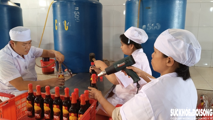 Cận Tết, làng nước mắm truyền thống Cà Ná tất bật sản xuất trong nỗi lo sức mua giảm- Ảnh 1. Cận Tết, làng nước mắm truyền thống Cà Ná tất bật sản xuất trong nỗi lo sức mua giảm- Ảnh 1.