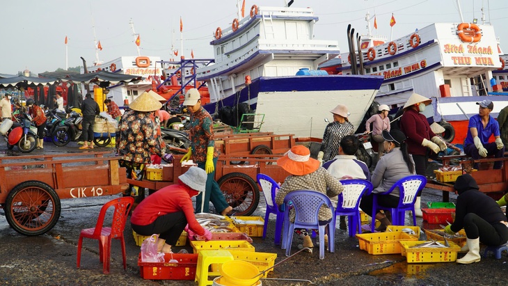 Lâm Đồng rộn ràng tàu cập bến, ngư dân đón xuân từ những khoang cá- Ảnh 3.