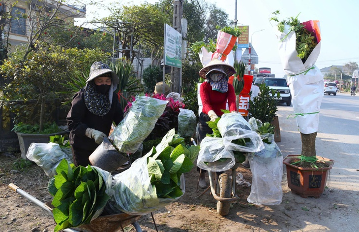 Tất tả mưu sinh ngày cận Tết- Ảnh 1.