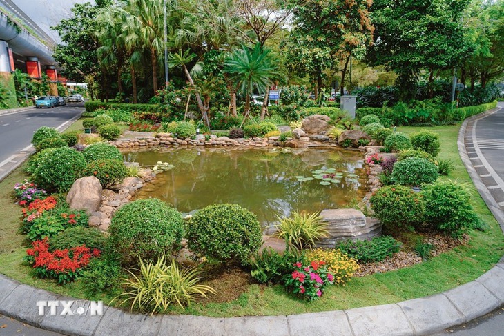 Nhà ga Quốc tế Đà Nẵng vận hành hồ cá sinh thái từ nước thải tái chế- Ảnh 1.