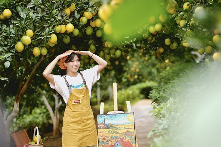 Mộc Châu khoác áo xuân: Trắng đồi mận, xanh đồi chè- Ảnh 5.
