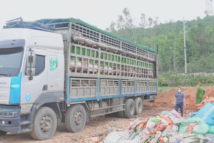 Ngăn chặn hơn 15 tấn lợn nhiễm dịch tả lợn châu Phi trước thềm Tết- Ảnh 3.
