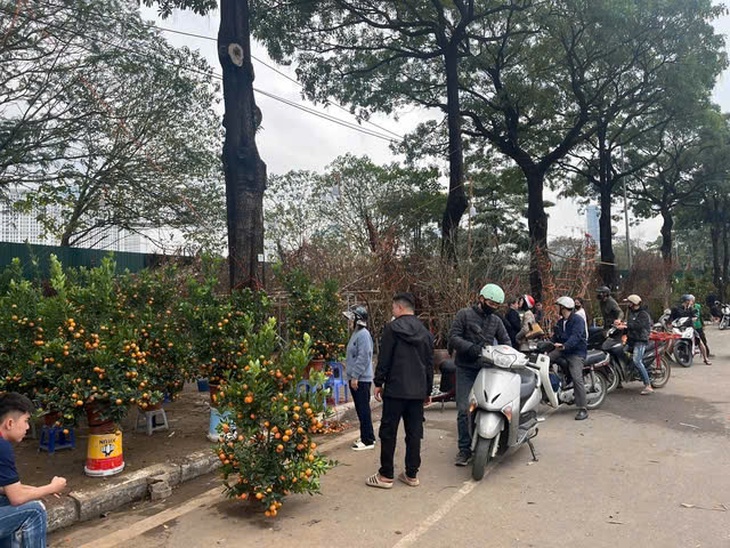 Chở đào quất cồng kềnh dịp Tết có thể bị xử phạt đến 14 triệu đồng- Ảnh 2. Chở đào quất cồng kềnh dịp Tết có thể bị xử phạt đến 14 triệu đồng- Ảnh 2.