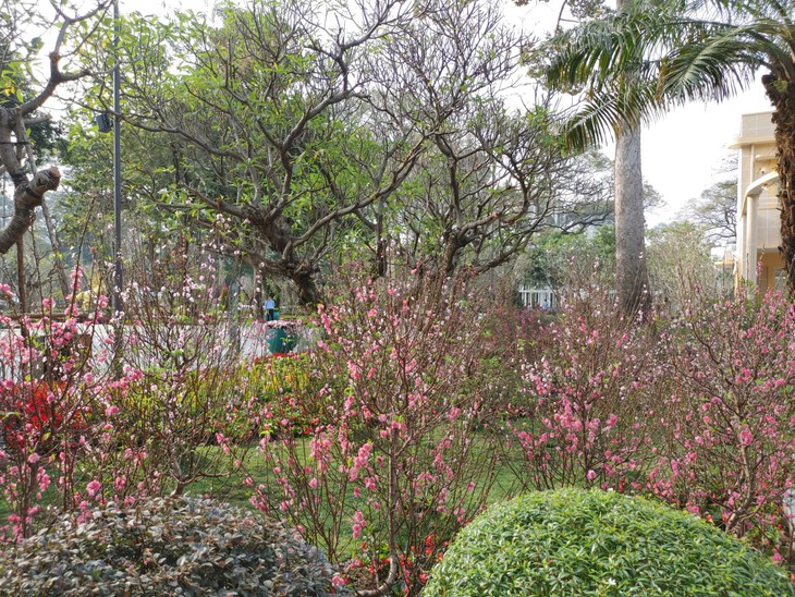 Công viên tưởng niệm nạn nhân COVID-19 hút khách ngày cận Tết- Ảnh 10.