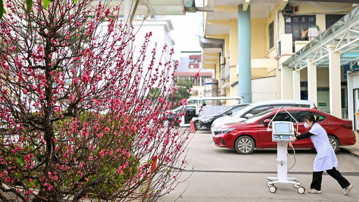 Tết bệnh viện (1): Những người giữ nhịp sống- Ảnh 2.
