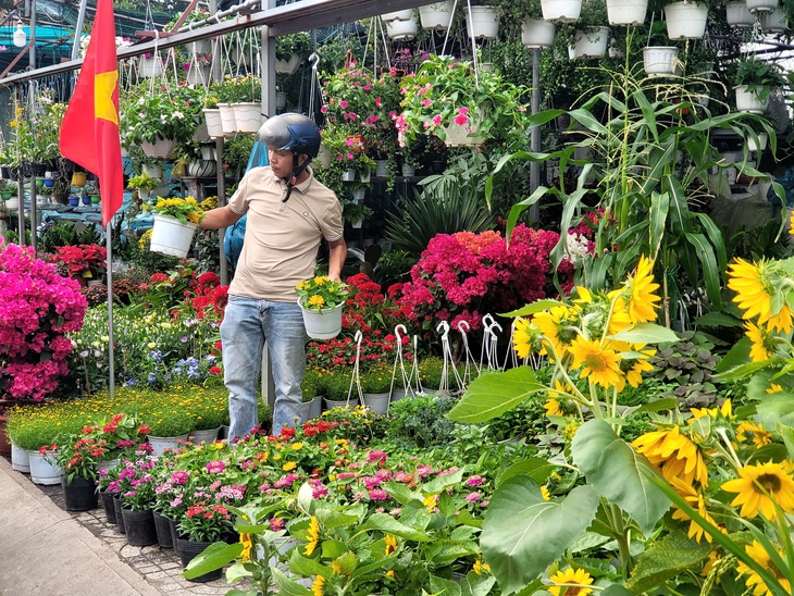 Người dân TPHCM nô nức trang hoàng nhà cửa, tất bật sắm mai, đào đón Tết- Ảnh 4. Người dân TPHCM nô nức trang hoàng nhà cửa, tất bật sắm mai, đào đón Tết- Ảnh 4.