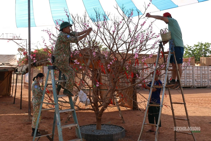 Bác sĩ Việt Nam tại Phái bộ Liên Hợp Quốc giữ trọn hương Xuân- Ảnh 1. Bác sĩ Việt Nam tại Phái bộ Liên Hợp Quốc giữ trọn hương Xuân- Ảnh 1.