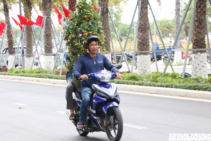 Nụ cười cần lao ngày cuối năm đẹp đến nao lòng- Ảnh 6.