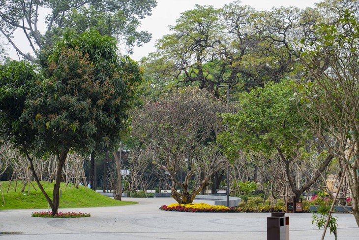 'Biểu tượng xanh' mới của TPHCM – giữ từng gốc cây, bảo tồn từng chi tiết cổ- Ảnh 1.