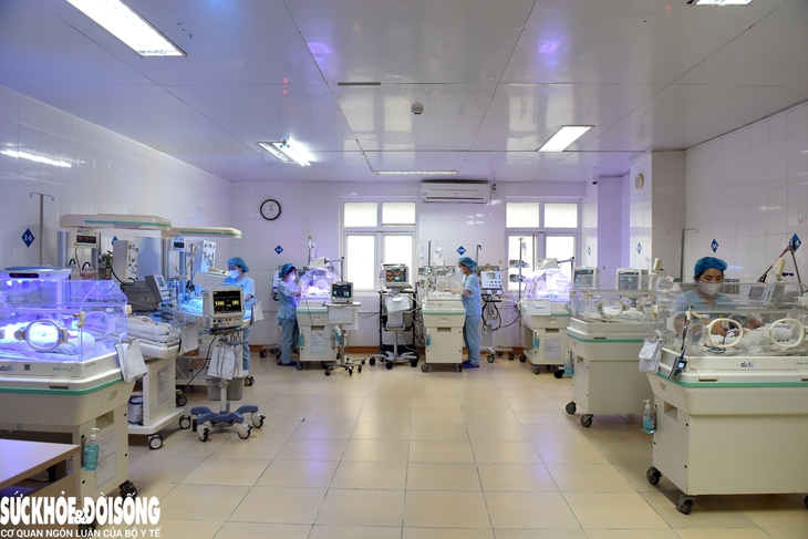Mỗi năm, Khoa NICU tiếp nhận khoảng 1.000 - 1.200 em bé, nhưng có đến 10% trong số đó là những ca sinh “cực non”, dưới 28 tuần tuổi.