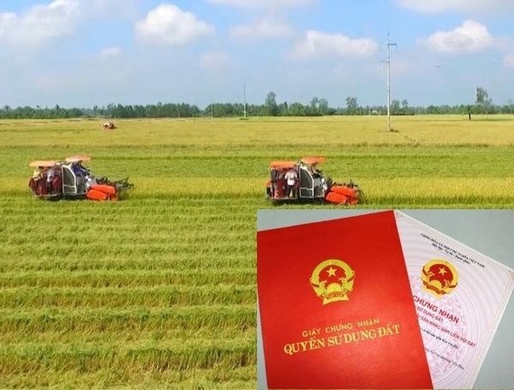 Quy định mới nhất chuyển đổi từ đất vườn, ao, đất nông nghiệp sang đất ở- Ảnh 1.
