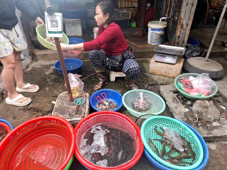 Người bán 'bật mí' nguyên nhân bất ngờ giá tôm tươi tăng trước Tết- Ảnh 1.