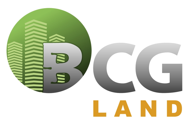 BCG Land bị xử phạt- Ảnh 1.