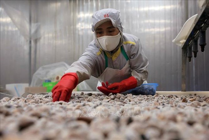 Mở rộng dư địa xuất khẩu nông lâm thủy sản, hướng tới mục tiêu 74 tỷ USD- Ảnh 1.