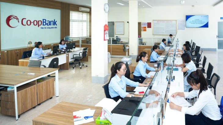 Thanh tra xác định một số tồn tại tại Co-opBank Ninh Bình- Ảnh 1.